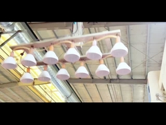 Jual panas cookie mason toples toples plastik dengan harga murah